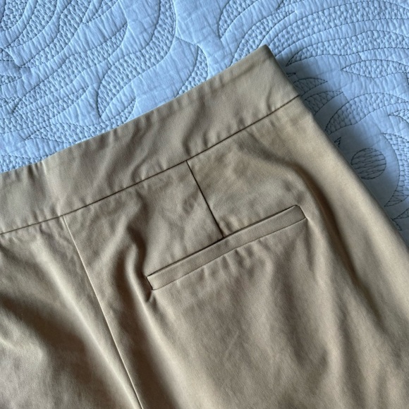 Anthropologie - EXQUISE - Pleated High Rise Tailored Chinos - Cedar - Picture 13 of 15